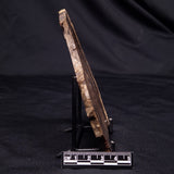 CHLORELLOPSIS sp. STROMATOLITE, Middle Eocene, USA ZCH018