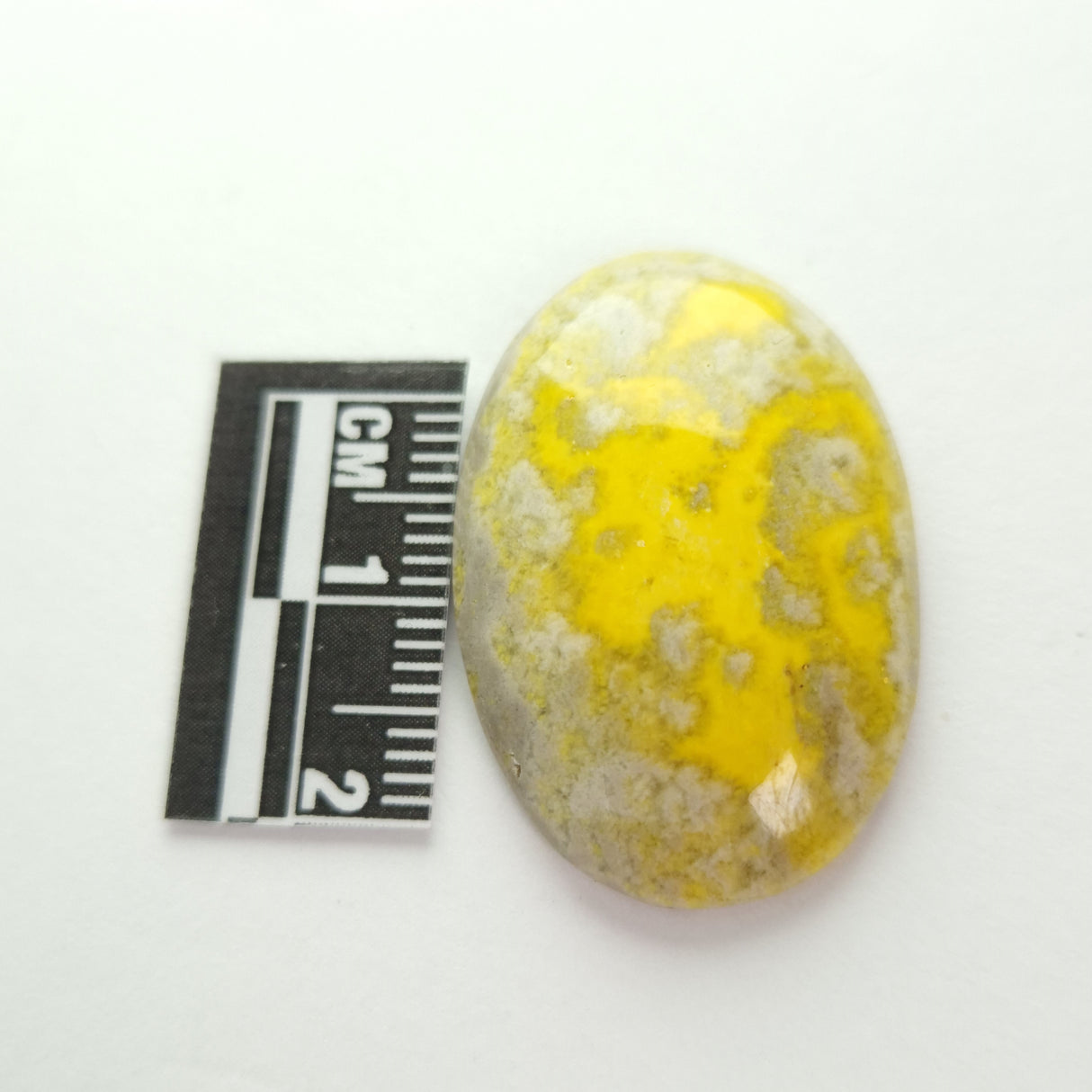 BUMBLEBEE JASPER CABOCHON 3SSBJC2