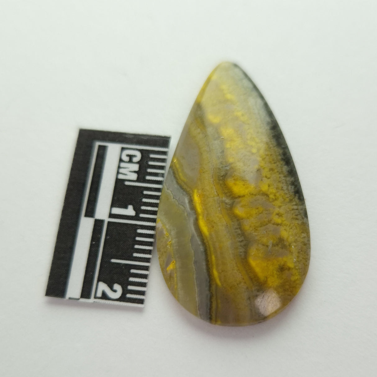 BUMBLEBEE JASPER CABOCHON 3SSBJC1