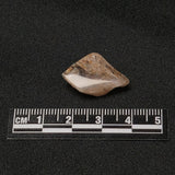 RAINBOW LATTICE SUNSTONE, Australia XLF001