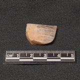 RAINBOW LATTICE SUNSTONE, Australia XLF004