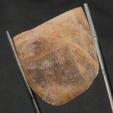 RAINBOW LATTICE SUNSTONE, Australia XLF010