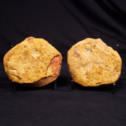 PETRIFIED WOOD PAIR, Australia YSC091