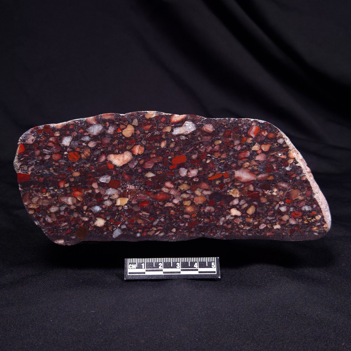 CONGLOMERATE, Australia YSC092