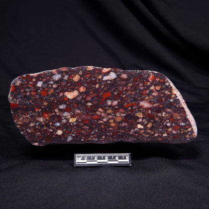 CONGLOMERATE, Australia YSC092
