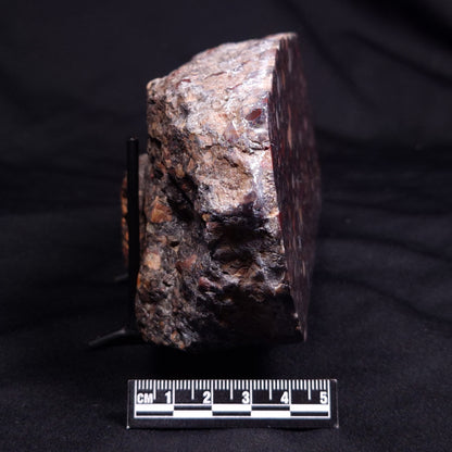 CONGLOMERATE, Australia YSC092