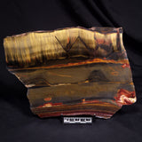 MARRA MAMBA TIGER EYE STROMATOLITE, Archean, Australia YSC094