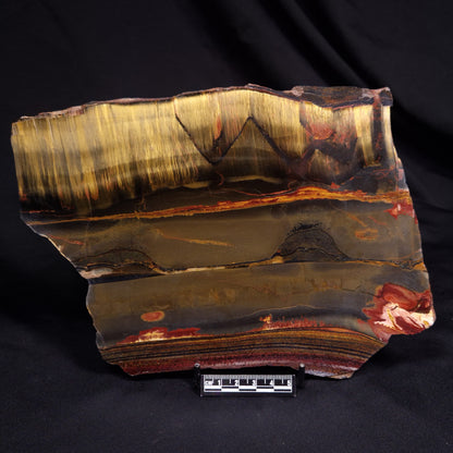 MARRA MAMBA TIGER EYE STROMATOLITE, Archean, Australia YSC094