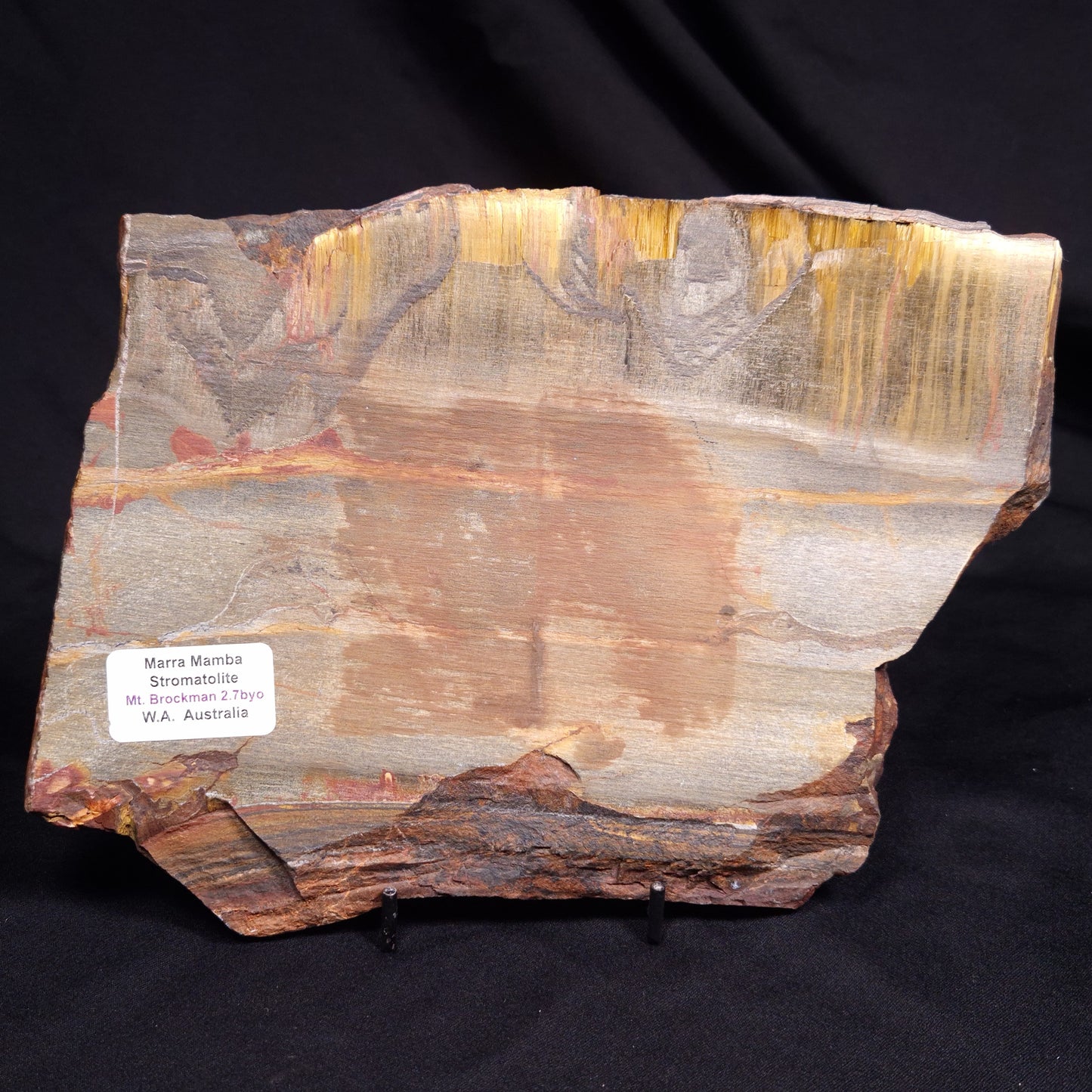 MARRA MAMBA TIGER EYE STROMATOLITE, Archean, Australia YSC094