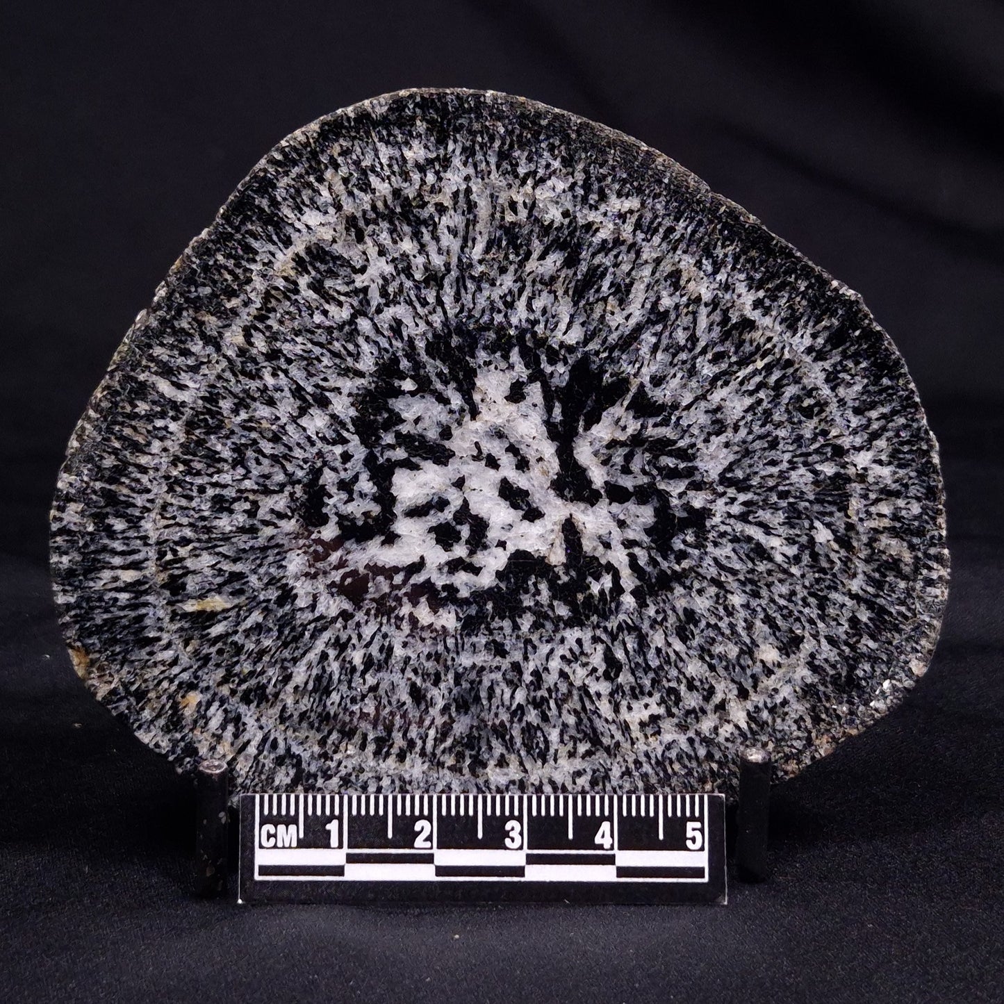 ORBICULAR GRANITE NODULE, Australia YOG013