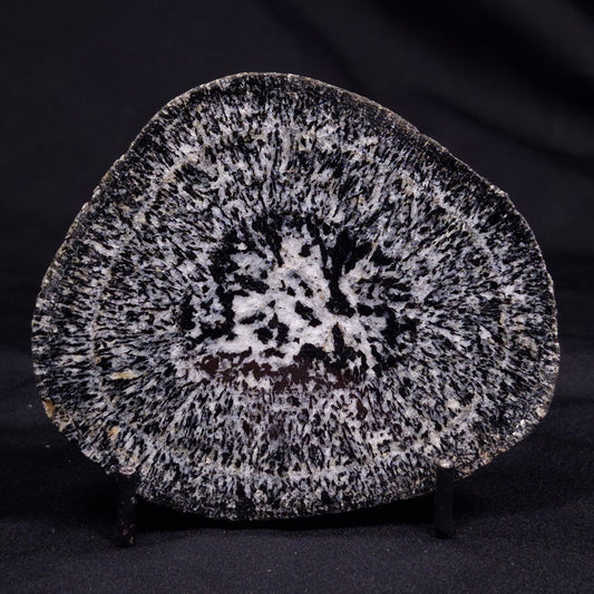 ORBICULAR GRANITE NODULE, Australia YOG013