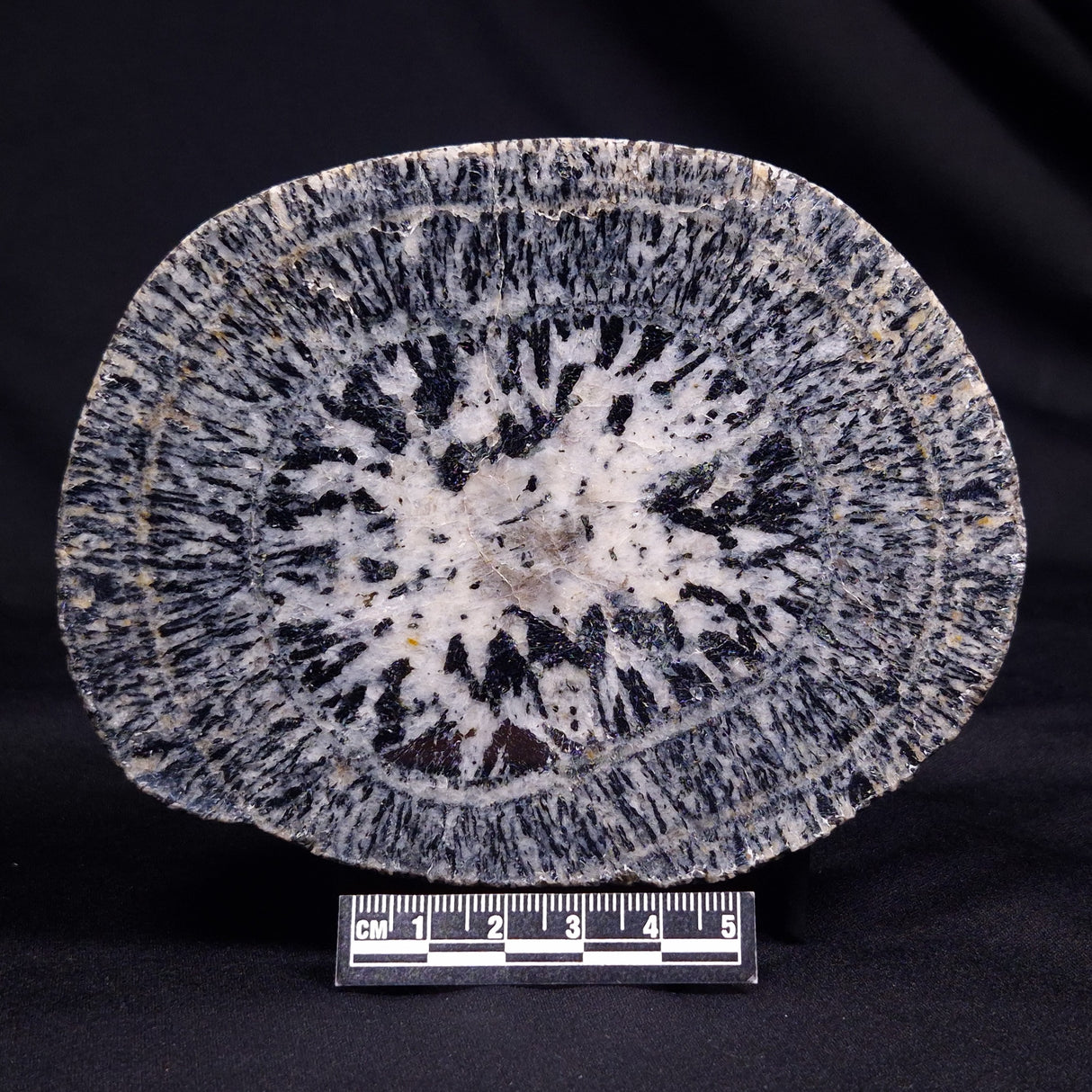ORBICULAR GRANITE NODULE, Australia YOG014