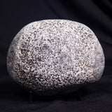 ORBICULAR GRANITE NODULE, Australia YOG014