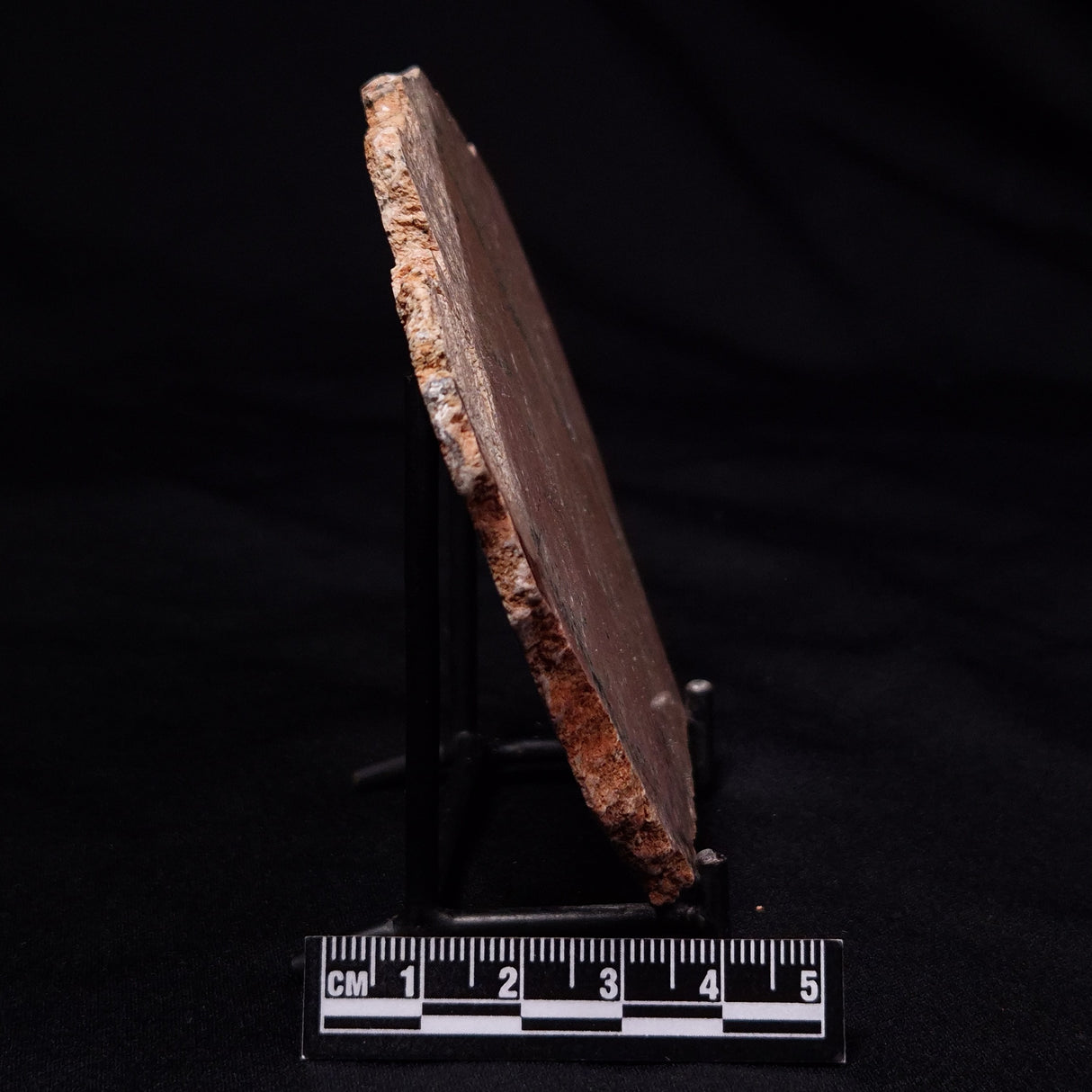 STROMATOLITE MICROBIAL MAT, Strelley Pool Formation, Archean, Australia ZSP050