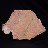 STROMATOLITE MICROBIAL MAT, Strelley Pool Formation, Archean, Australia ZSP051