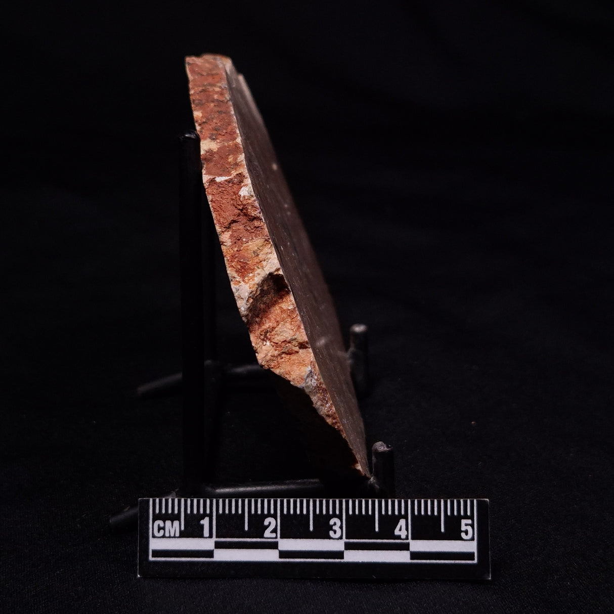 STROMATOLITE MICROBIAL MAT, Strelley Pool Formation, Archean, Australia ZSP053