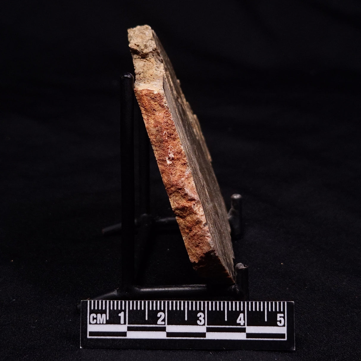 STROMATOLITE MICROBIAL MAT, Strelley Pool Formation, Archean, Australia ZSP054