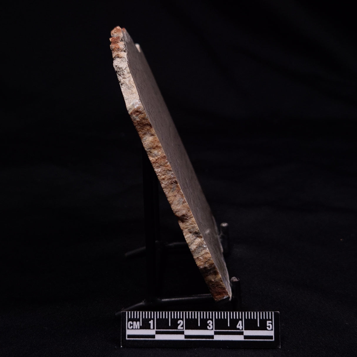 STROMATOLITE MICROBIAL MAT, Strelley Pool Formation, Archean, Australia ZSP056