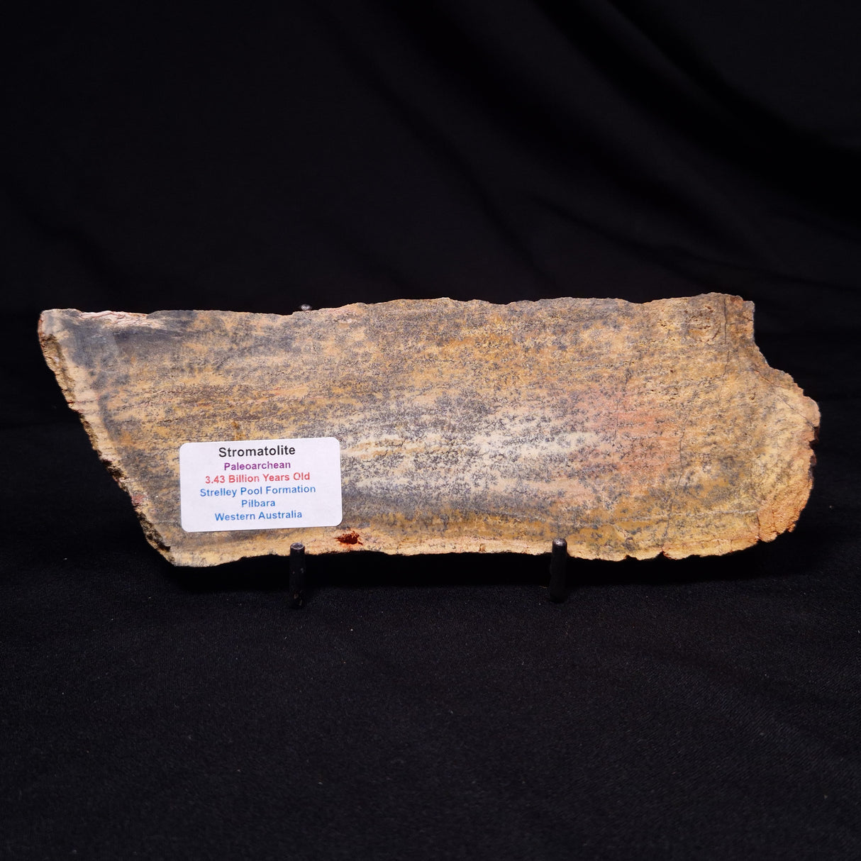 STROMATOLITE MICROBIAL MAT, Strelley Pool Formation, Archean, Australia ZSP059