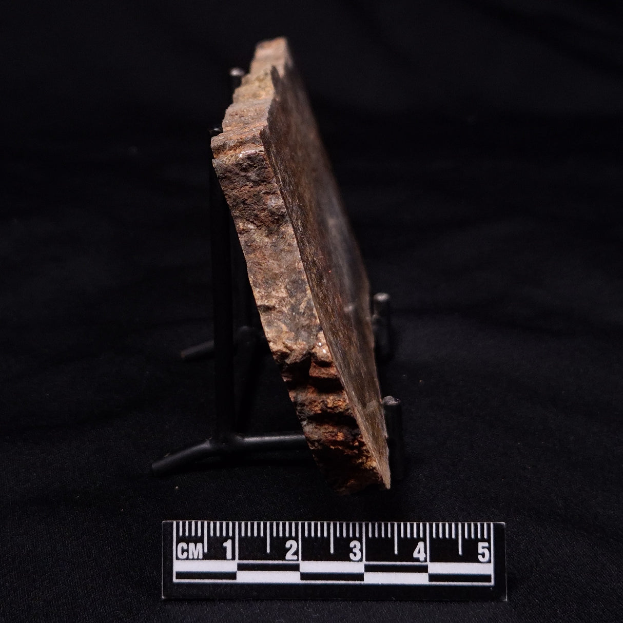 STROMATOLITE MICROBIAL MAT, Strelley Pool Formation, Archean, Australia ZSP059