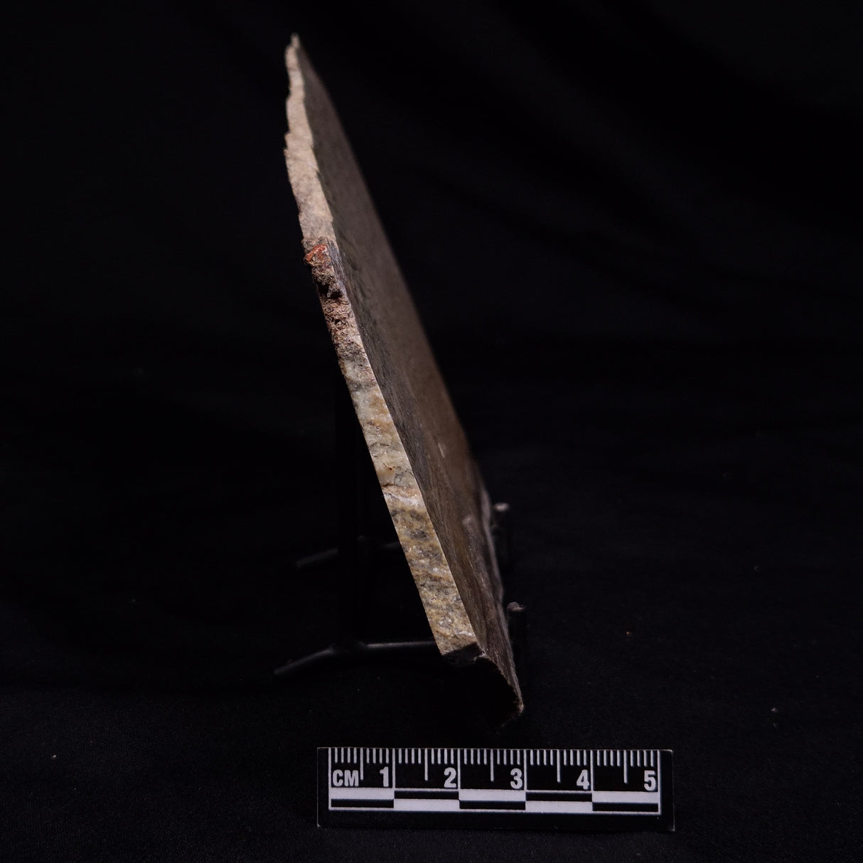 STROMATOLITE MICROBIAL MAT, Strelley Pool Formation, Archean, Australia ZSP044