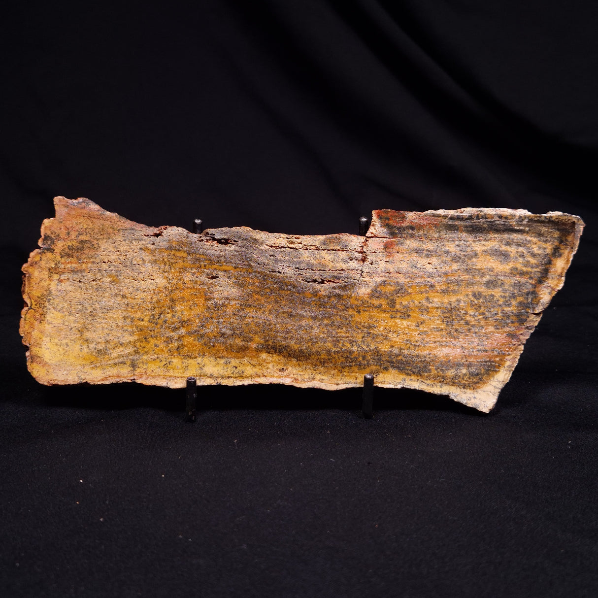 STROMATOLITE MICROBIAL MAT, Strelley Pool Formation, Archean, Australia ZSP049