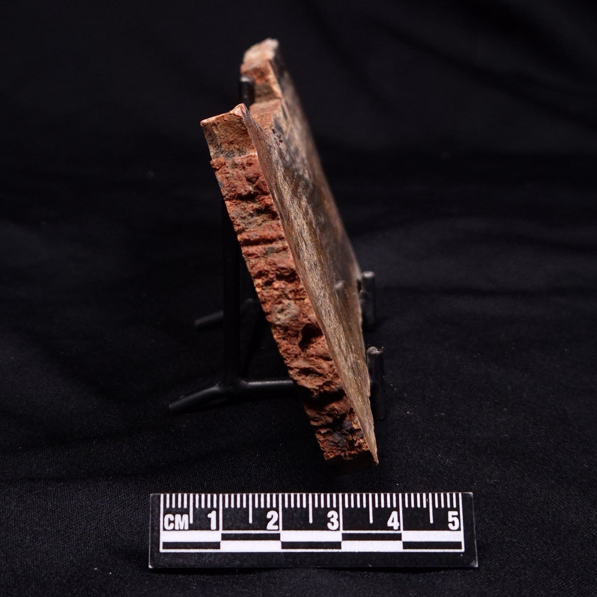 STROMATOLITE MICROBIAL MAT, Strelley Pool Formation, Archean, Australia ZSP049