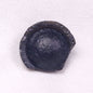 AUSTRALITE TEKTITE, South Australia YSC100