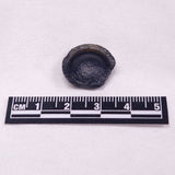 AUSTRALITE TEKTITE, South Australia YSC100