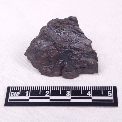 METEORITE HUCKITTA, Australia YSC101