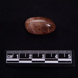 RAINBOW LATTICE SUNSTONE TUMBLE, Australia XLT010