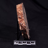 CONOPHYTON BASALTICUM STROMATOLITE, Australia ZCB028