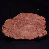 JACK HILLS ZIRCON, Hadean Age, Australia ZJH057