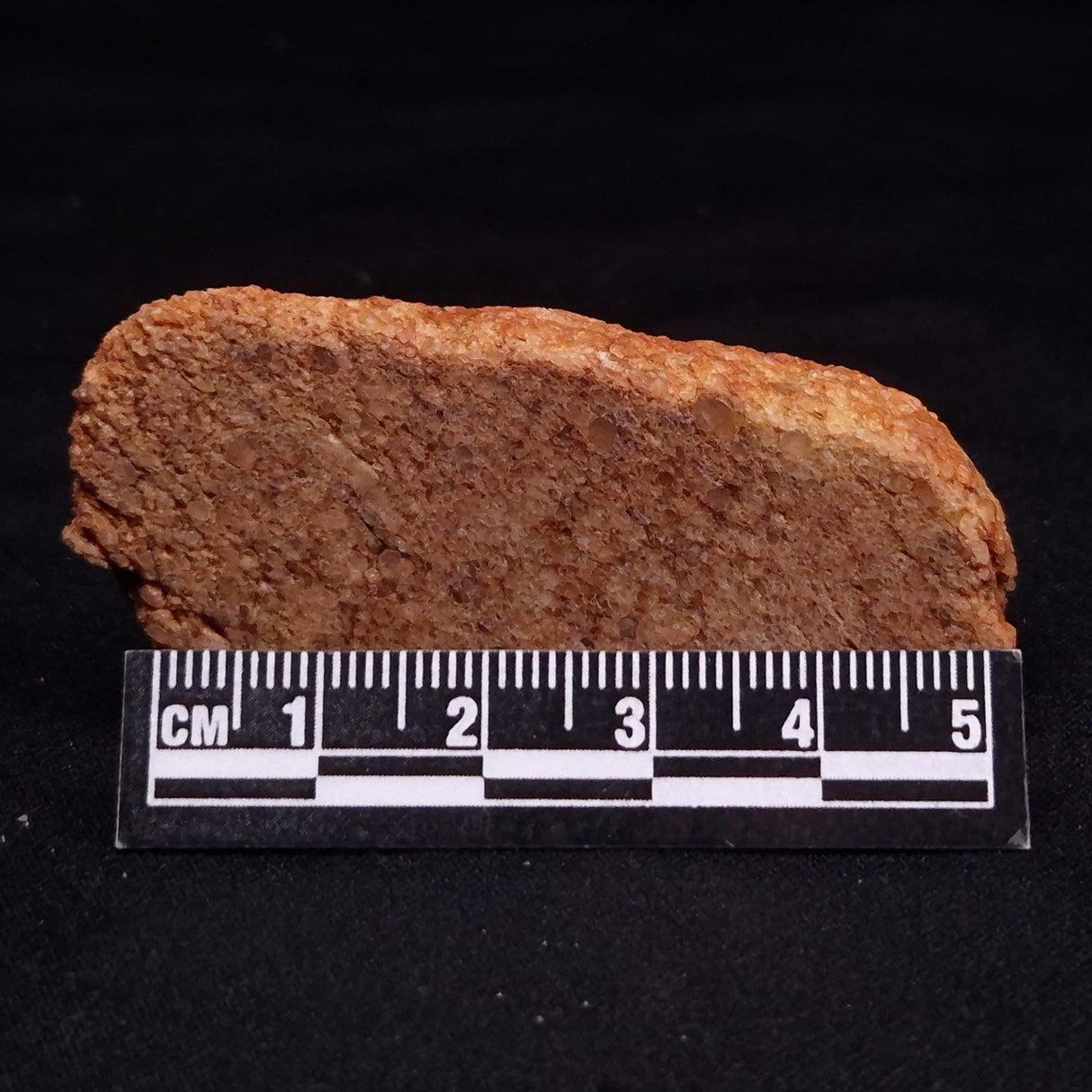 JACK HILLS ZIRCON, Hadean Age, Australia ZJH060