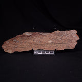 JACK HILLS ZIRCON, Hadean Age, Australia ZJH069