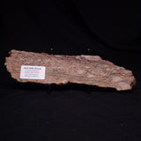 JACK HILLS ZIRCON, Hadean Age, Australia ZJH069