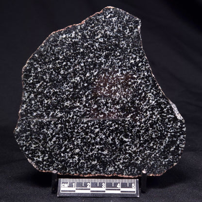 TRANQUILLITYITE, Australia ZTQ008