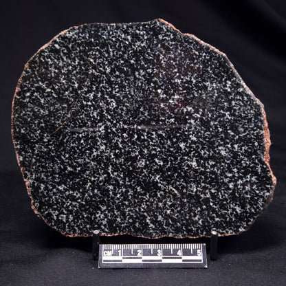 TRANQUILLITYITE, Australia ZTQ009