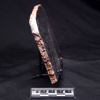 TRANQUILLITYITE, Australia ZTQ010