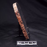 TRANQUILLITYITE, Australia ZTQ012