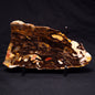 PEANUT WOOD PETRIFIED WOOD, Cretaceous, Australia ZPW014