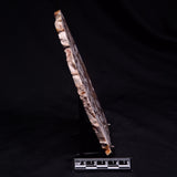 PEANUT WOOD PETRIFIED WOOD, Cretaceous, Australia ZPW025