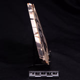 PEANUT WOOD PETRIFIED WOOD, Cretaceous, Australia ZPW029