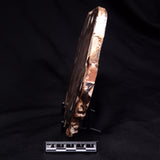 PEANUT WOOD PETRIFIED WOOD, Cretaceous, Australia ZPW037