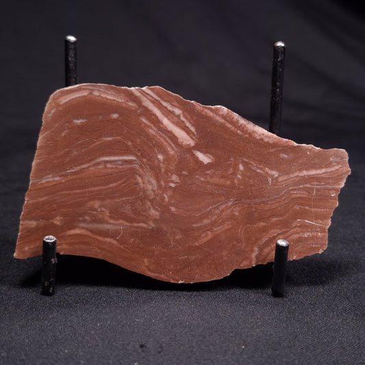 KUSSOIDELLA CF. LIMATA, Paleoproterozoic, Canada ZKL001