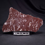 KUSSOIDELLA CF. LIMATA, Paleoproterozoic, Canada ZKL002