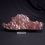 KUSSOIDELLA CF. LIMATA, Paleoproterozoic, Canada ZKL003