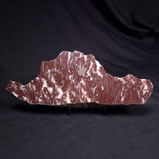 KUSSOIDELLA CF. LIMATA, Paleoproterozoic, Canada ZKL003