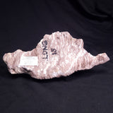 KUSSOIDELLA CF. LIMATA, Paleoproterozoic, Canada ZKL003