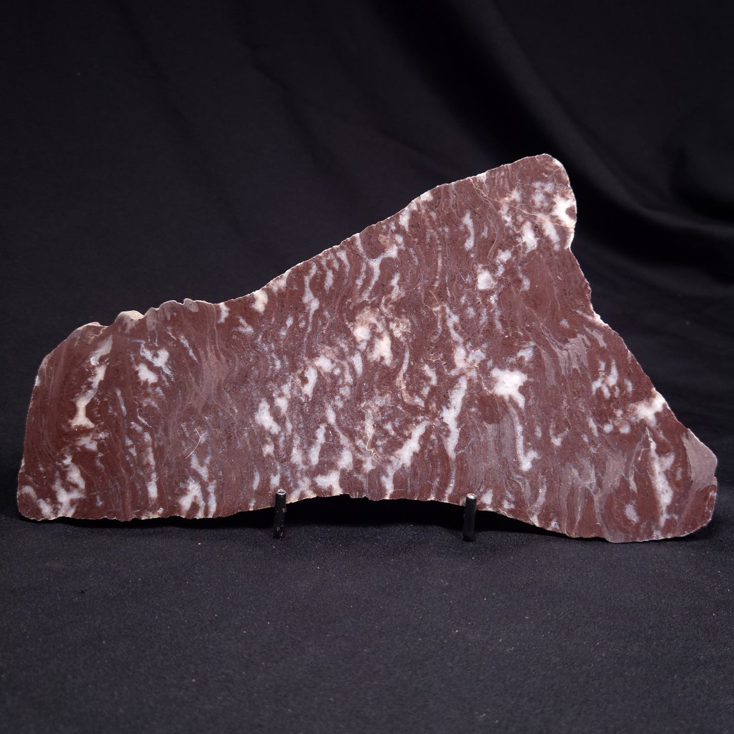 KUSSOIDELLA CF. LIMATA, Paleoproterozoic, Canada ZKL004